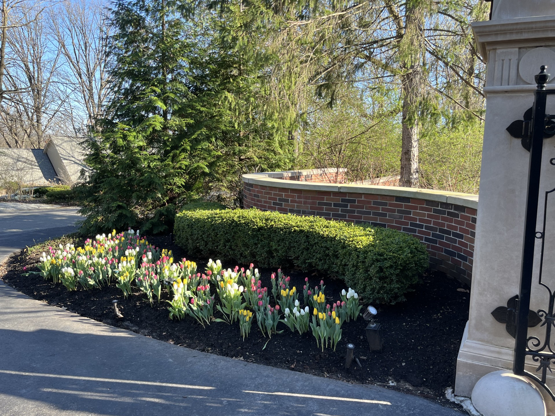 Annual-Flower-Installs-Sunset-Lane-Crows-Nest-Williams-Creek-Meridian-Hills-Carmel-Zionsville-Gesit-McCordsville-Meridian-Kessler-Westfield