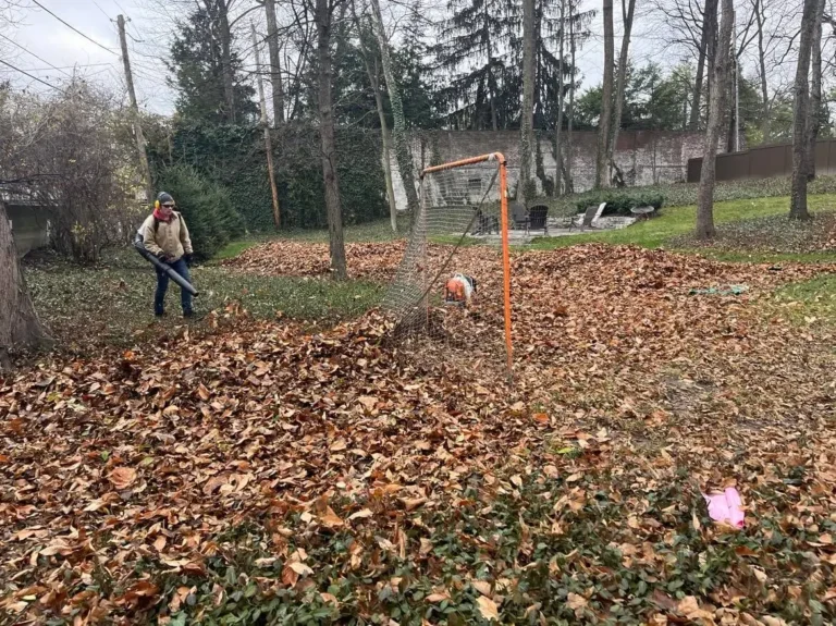 Leaf-Removal-Meridian-Kessler-Broad-Ripple-Butler-Tarkington-Indianapolis