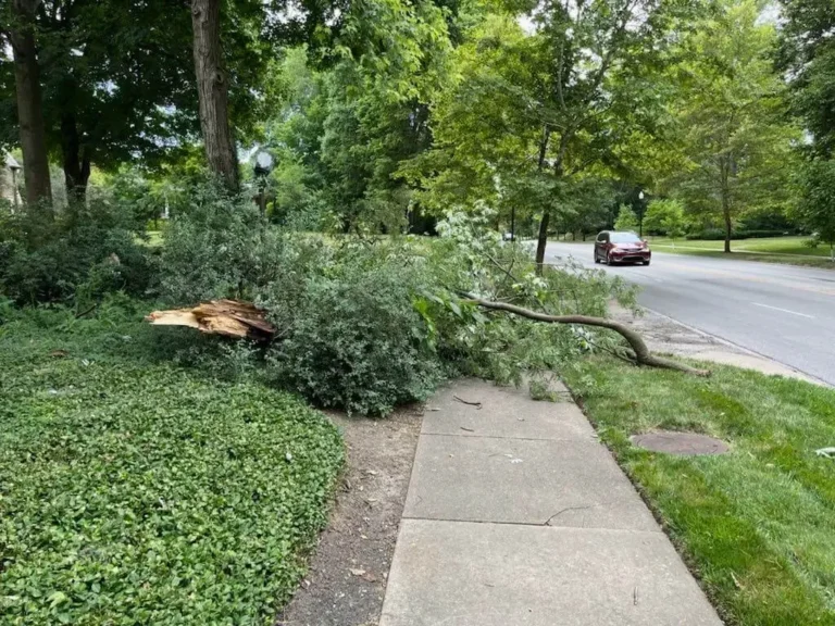 Storm-Clean-Up-Tree-Limb-Down-Meridian-Kessler-Butler-Tarkington-Broad-Ripple-Indianapolis
